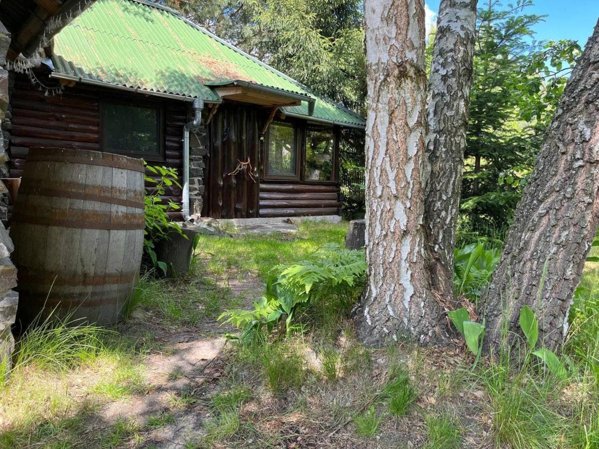 スヴィチャスZelenyi Raiアパートメント エクステリア 写真