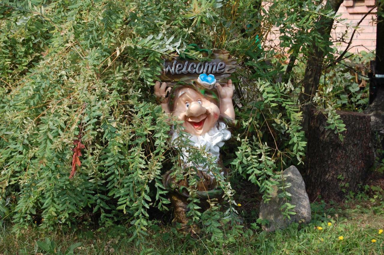 スヴィチャスZelenyi Raiアパートメント エクステリア 写真